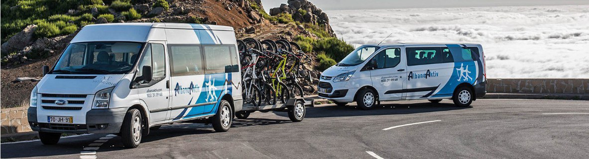 Albano Aktiv minibuses on Madeira