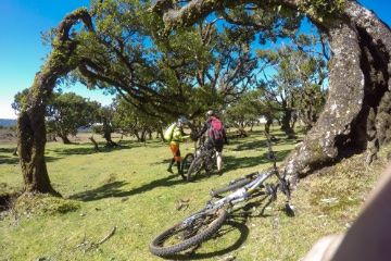 Biker rasten unter Bäumen