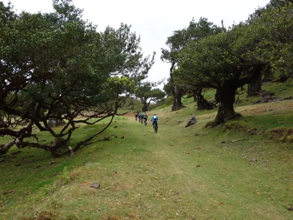 Paul_da_Serra_Ribeira_da_Janela_1