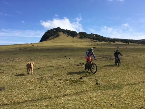 Paul_da_Serra_Ribeira_da_Janela_4