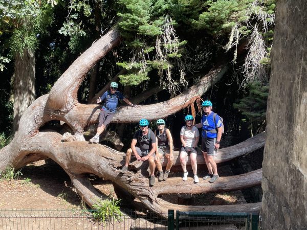 albano-aktiv-bike-portela-25