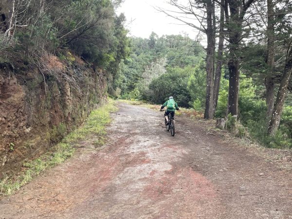 albano-aktiv-bike-portela-35