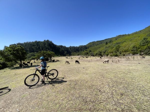 albano-aktiv-bike-portela-8