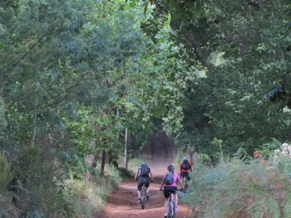 albano-aktiv-bike-santana-3