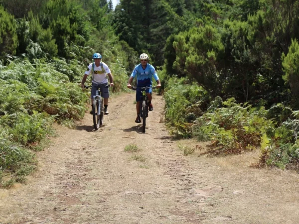 albano-aktiv-bike-santana-4