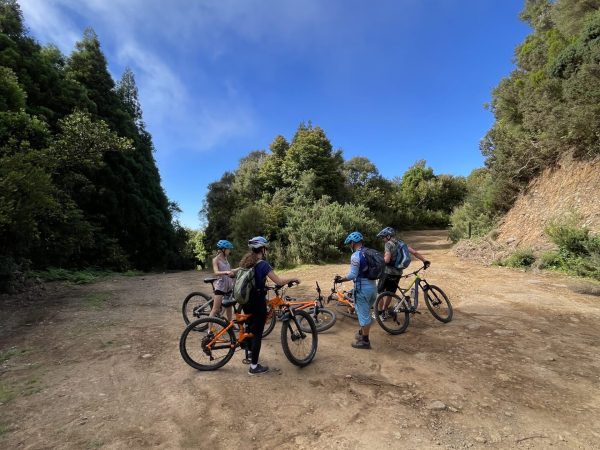 albano-aktiv-bike-santo-da-serra-1