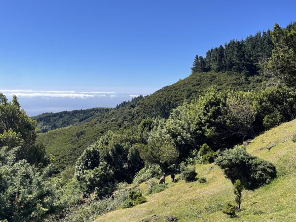 albano-aktiv-bike-santo-da-serra-4