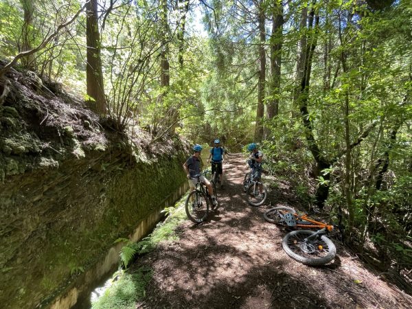 albano-aktiv-daily-bike-tours-2-portela-easytour-2185