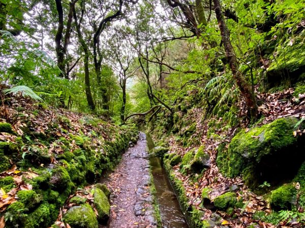 albano-aktiv-hike-caldeirao-verde-3