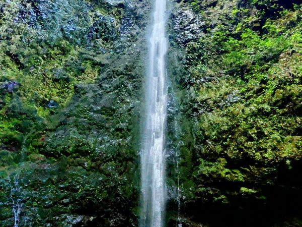 albano-aktiv-hike-caldeirao-verde-4