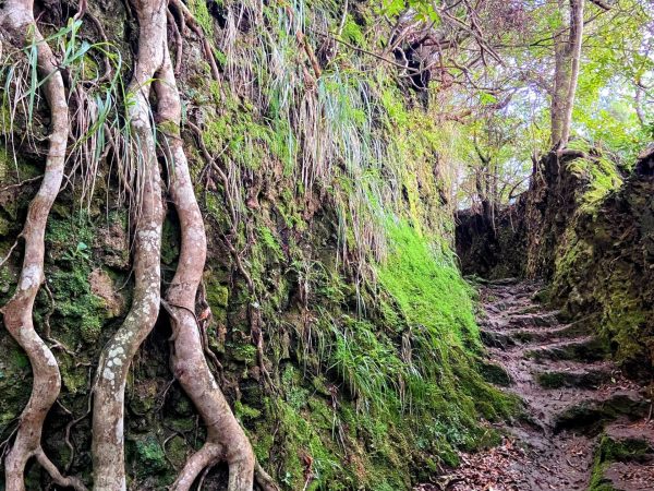 albano-aktiv-hike-caldeirao-verde-6