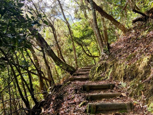 albano-aktiv-hike-castelejo-10