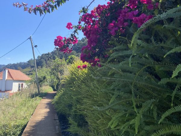 albano-aktiv-hike-castelejo-16