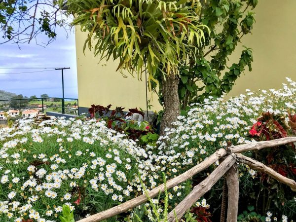 albano-aktiv-hike-castelejo-8