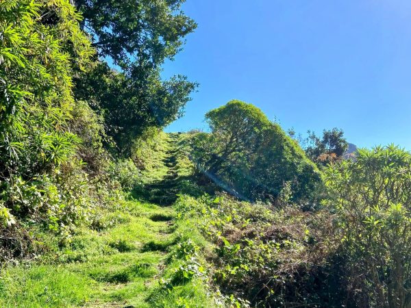 albano-aktiv-hike-encumeada-boca-do-risco-10