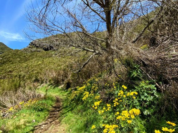 albano-aktiv-hike-encumeada-boca-do-risco-2