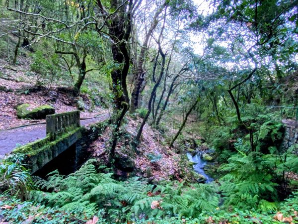 albano-aktiv-hike-furado-12