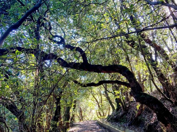 albano-aktiv-hike-furado-14