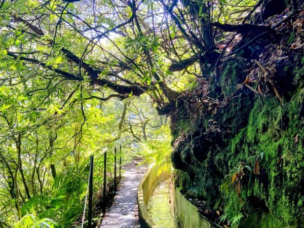 albano-aktiv-hike-furado-21