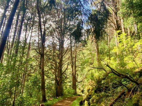 albano-aktiv-hike-furado-23