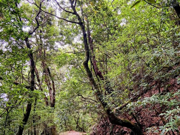 albano-aktiv-hike-furado-4