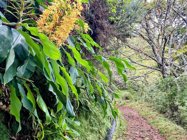 albano-aktiv-hike-furado-8