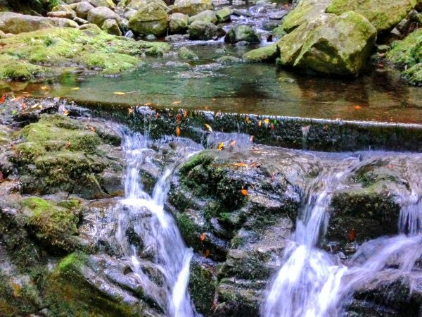 albano-aktiv-hike-levada-do-rei-10