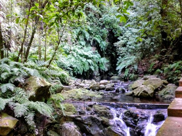 albano-aktiv-hike-levada-do-rei-11