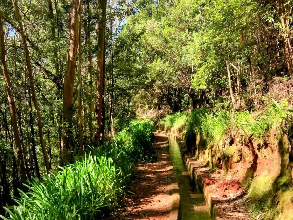 albano-aktiv-hike-levada-do-rei-13