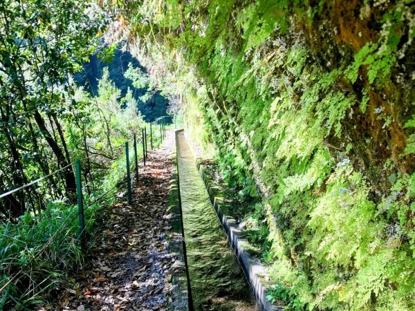 albano-aktiv-hike-levada-do-rei-14