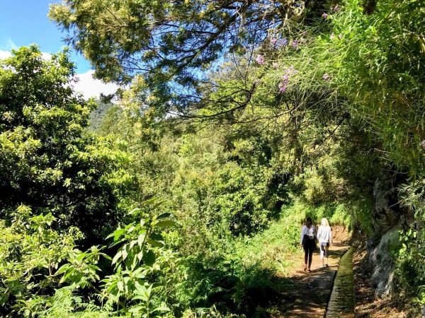 albano-aktiv-hike-levada-do-rei-17