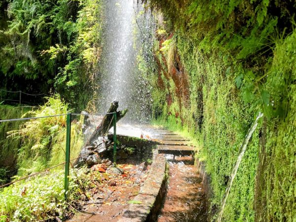 albano-aktiv-hike-levada-do-rei-18