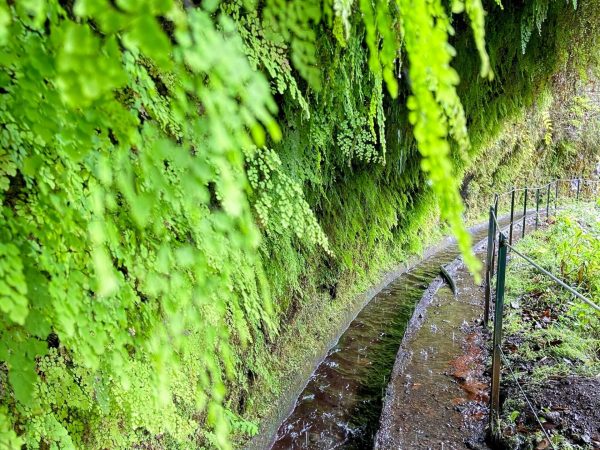 albano-aktiv-hike-levada-do-rei-3