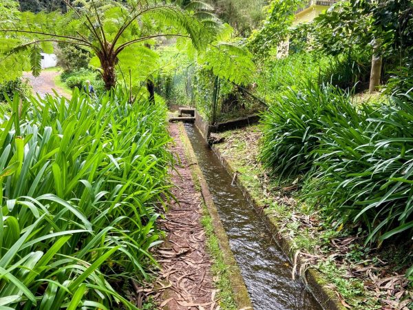 albano-aktiv-hike-levada-do-rei-4