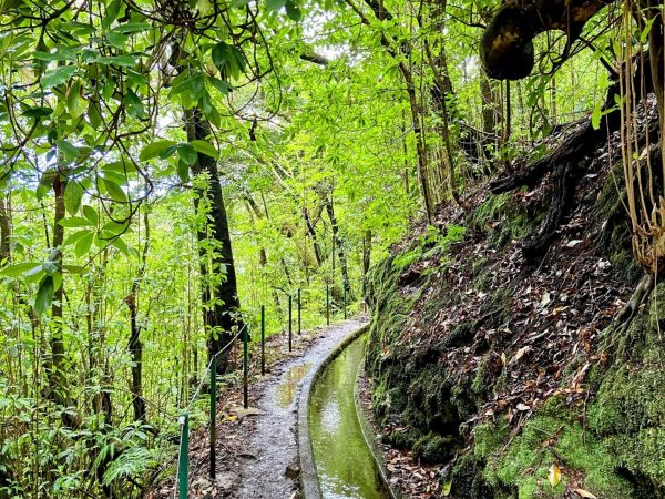 albano-aktiv-hike-levada-do-rei-5