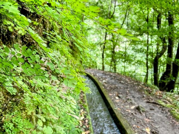 albano-aktiv-hike-levada-do-rei-6