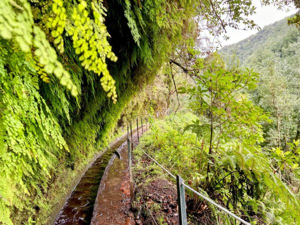 albano-aktiv-hike-levada-do-rei-7