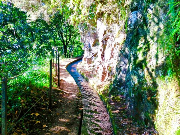 albano-aktiv-hike-levada-do-rei-9