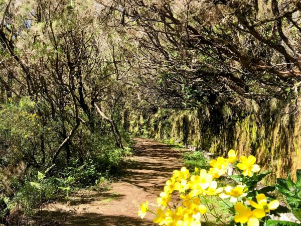 albano-aktiv-hike-lombo-do-mouro-10