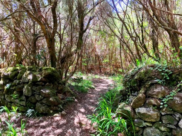 albano-aktiv-hike-lombo-do-mouro-11