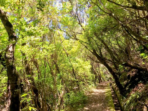 albano-aktiv-hike-lombo-do-mouro-13