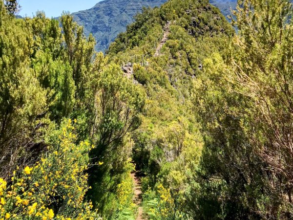 albano-aktiv-hike-lombo-do-mouro-14