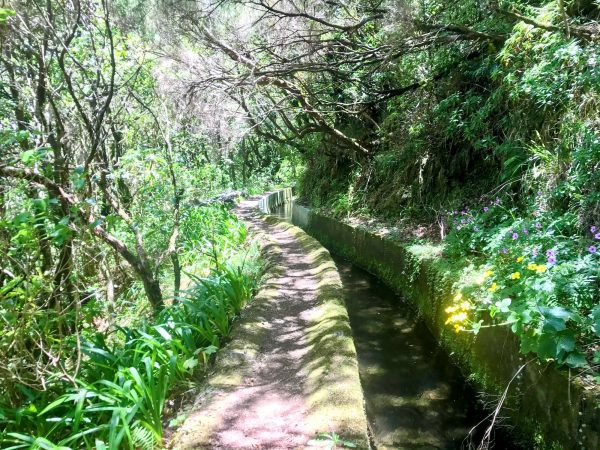 albano-aktiv-hike-lombo-do-mouro-16