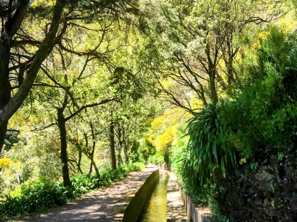 albano-aktiv-hike-lombo-do-mouro-18