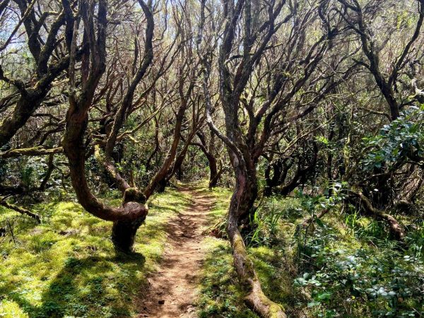 albano-aktiv-hike-lombo-do-mouro-6