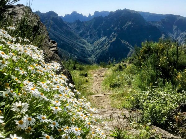 albano-aktiv-hike-lombo-do-mouro-7