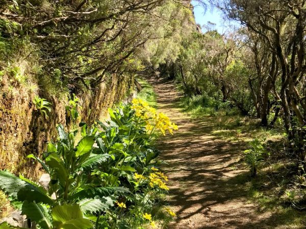 albano-aktiv-hike-lombo-do-mouro-8