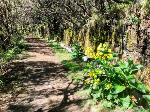 albano-aktiv-hike-lombo-do-mouro-9