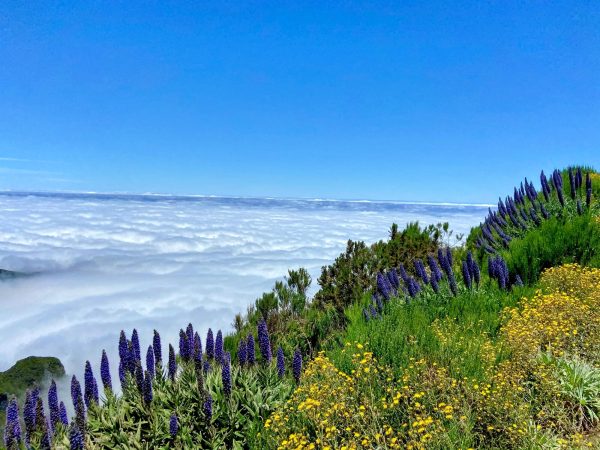 albano-aktiv-hike-picos-10