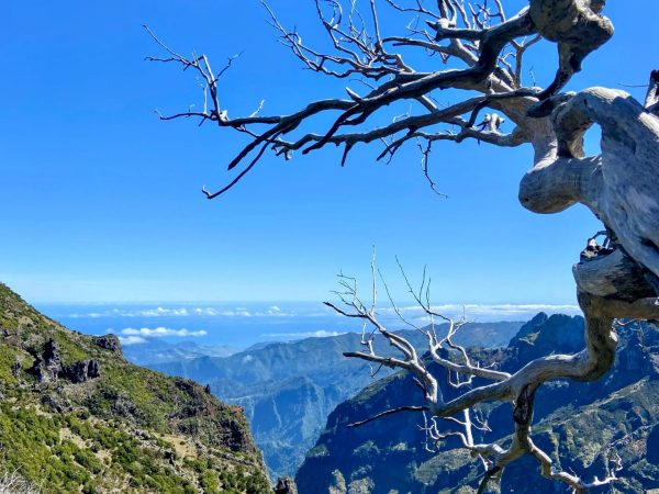 albano-aktiv-hike-picos-14